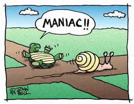Snail cutting off a turtle that is yelling, "Maniac!"