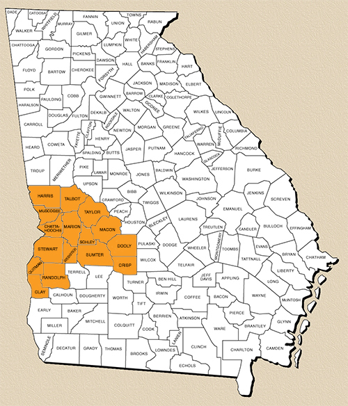 Map of Georgia featuring Region 8