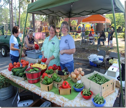 Cook County summer produce tent